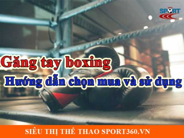 Găng tay boxing - Hướng dẫn chọn mua và sử dụng
