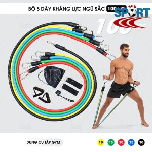 Bộ 5 dây đàn hồi ngũ sắc resistance band